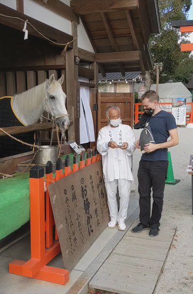 Feeding the sacred horse at Kamigamo-jinja. The shrine, as part of the Aoi Matsuri in May, hosts horse races and competitions.