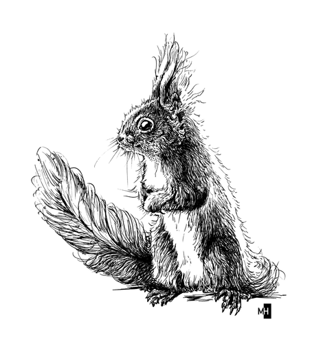 Schwarze Zeichnung eines Eichhörnchens, das aufrecht steht und die Vorderpfoten vor die Brust hält.
