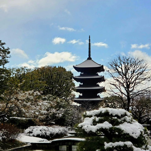 Snow on To-ji's famous pagoda, the tallest in Japan.