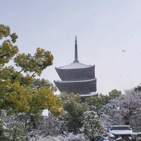 A snowy market day at To-ji.