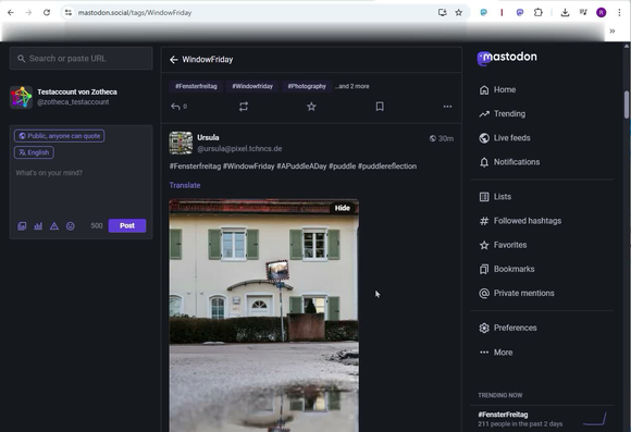 A tutorial on Mastodon's export function
