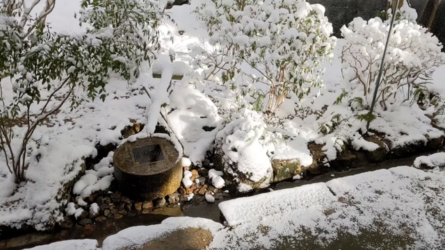 Ryoan-ji's famous chozubachi in the snow.