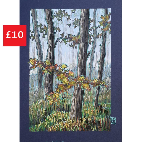 A small colour drawing of tree trunks and branches in a woodland area in autumn with golden autumn tones and a blue background. The drawing is on dark blue pastel paper.
An original art work, please note that the frame is not included.
Colour pencil and mixed media on acid free toned artist paper
5 by 7 inches (12.7 by 17.8 cm).