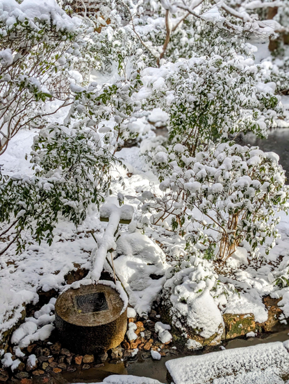 Ryoan-ji's famous chozubachi in the snow.