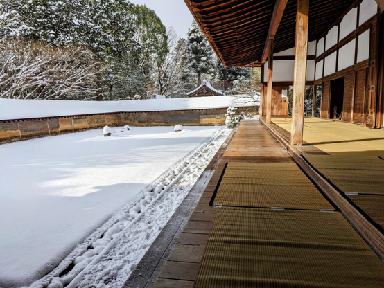 For once a moment without visitors at Ryoan-ji's often bustling abbot's quarters.