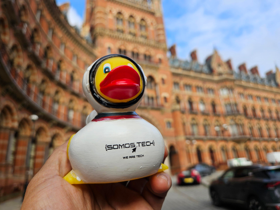 Duck in St Pancras station
