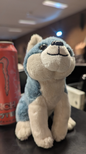 a dog plushie and a monster pipeline punch