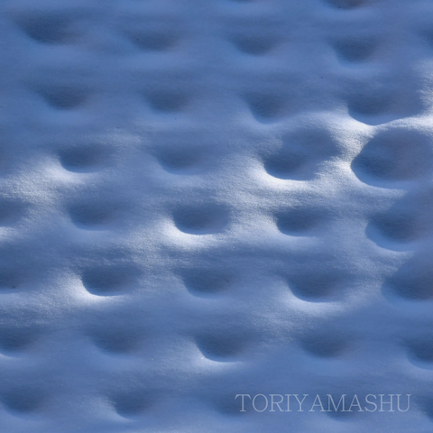 雪の上にたくさんのくぼみが現れている