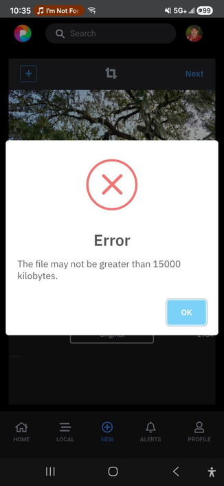 The image is a screenshot from a mobile application interface that displays an error message during a file upload process.
Image Description
App Interface: The screen shows an app with a navigation bar at the top (which includes a search bar, a profile icon, and network status indicators like "5G+") and a tab bar at the bottom with icons for Home, Local, New, Alerts, and Profile. The app appears to have features related to posting content, as indicated by the "Next" and "+" buttons near the top right and center bottom.
Error Message: A pop-up dialog box is centered on the screen with a large red 'X' icon. The main text reads "Error", followed by the message: "The file may not be greater than 15000 kilobytes."
Background Image: Behind the pop-up and interface elements, an image of tree branches with Spanish moss is partially visible in the content area of the app.
System UI: The very top of the screen shows the standard Android status bar with the time (10:35), a music note icon next to