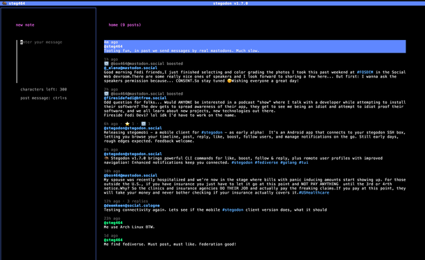 The SSH UI showing the Home timeline.