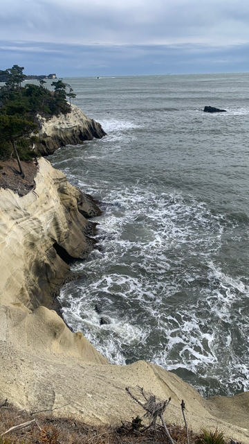奥松島の海岸の写真。土の近くには海が少し荒れているよう。