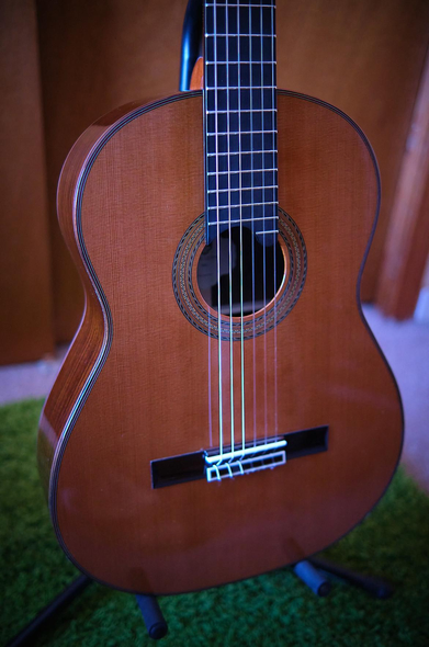 My Saers classical guitar … a tremendous value in craftsmanship and playability. 

https://www.saers-guitars.com