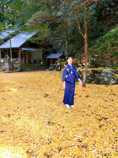 Nao-san frolics amongst golden ginkgo leaves.