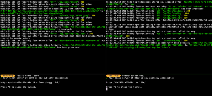 Fedify is running in four different kitty windows, two are running the app, two are running temporary tunnels.