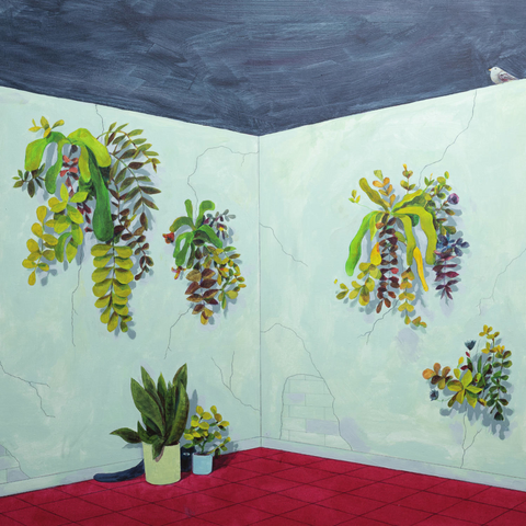 Cover: Maurício Fleury - Revoada