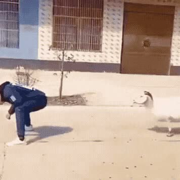 Un caprone salta in groppa a un umano. E... hop!