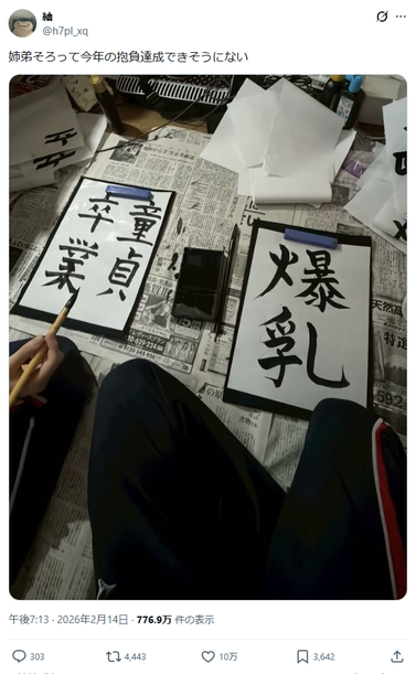 X post from @h7pl_xq. JP headline: 姉弟そろって今年の抱負達成できそうにない