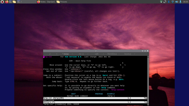 VIM help in a POSIX OS on the SBC Pi5 invoked with :h 