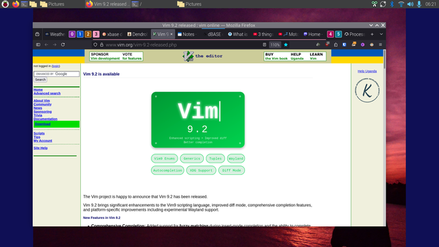 VIM site on desktop