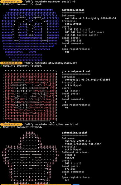 A terminal, with the command `fedify nodeinfo {serverName} -b` entered, it shows an ascii art representation of the logo. 