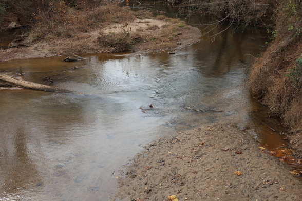 The titular "Muddy-Creek", A creek of some level of muddiness.