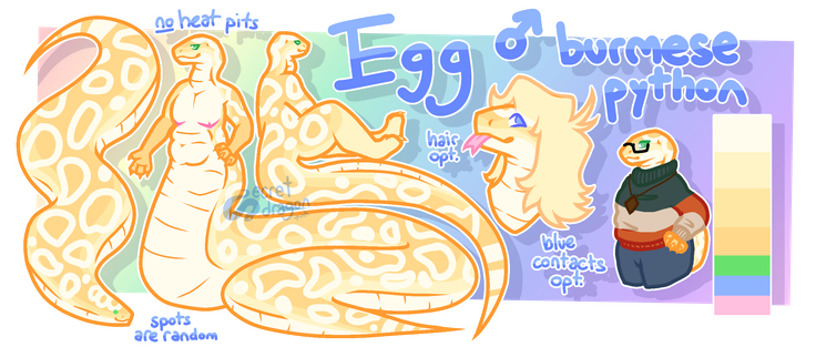 Egg is a male anthropomorphic burmese python. His scales are yellow, becoming a darker gold color along his back, with white markings and scutes. Notably, he does not have heat pits, and his markings are drawn randomly. He has a flat chest and is overall chubby. His eyes are naturally green, but he has blue contacts he wears instead of glasses sometimes and can also be drawn with blonde hair. The reference has 3 types of genitalia: a sheath with two cocks, a vulva with two t-dicks, and a sort of cloaca-style sheath with both two cocks and a vagina. His main forms are a naga form, a bipedal form, and a feral form. He has an outfit that consists of blue pants, a green + orange + brown sweater, a brown necklace with a wooden diamond-shaped charm, and black glasses.