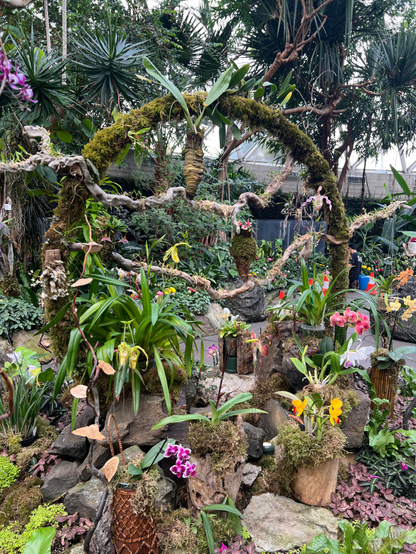 An elaborate co strict ion of branches, moss, s d cleverly concealed small pots and holders for various orchids. It's shaped like a Chinese moon gate a little bit, kind of an upright circle in the center of a multi level rock arrangement. It's very decorative