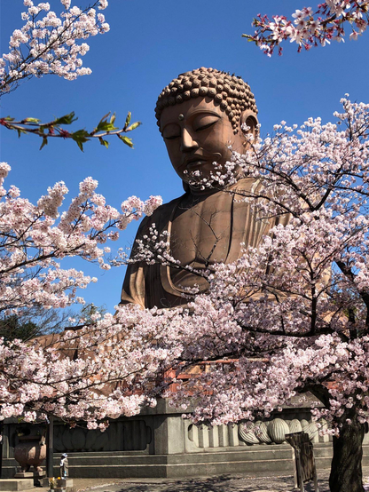 Jurakuen Daibutsu, #Japan.
#BuddhistArt #Buddhism