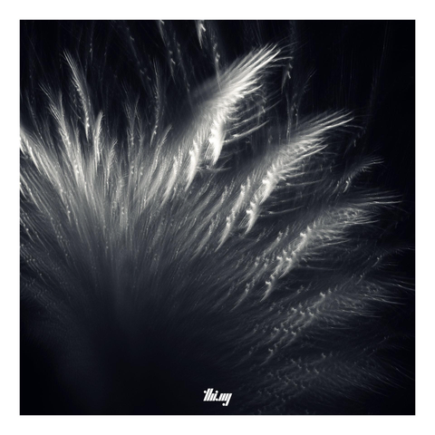 Simulated monochrome photograph of abstract light streaks created by an IFS fractal.