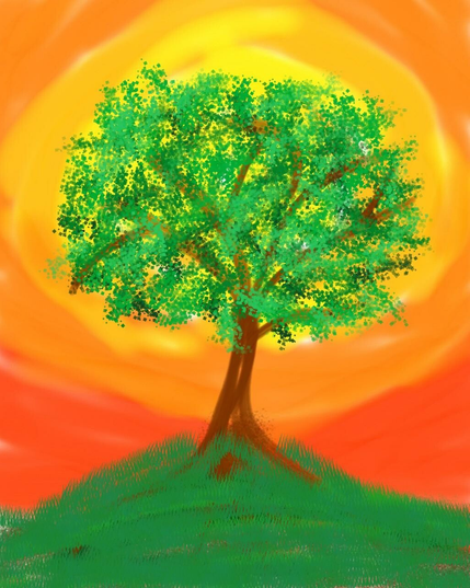 A rather abstract tree with the sunrise behind it.