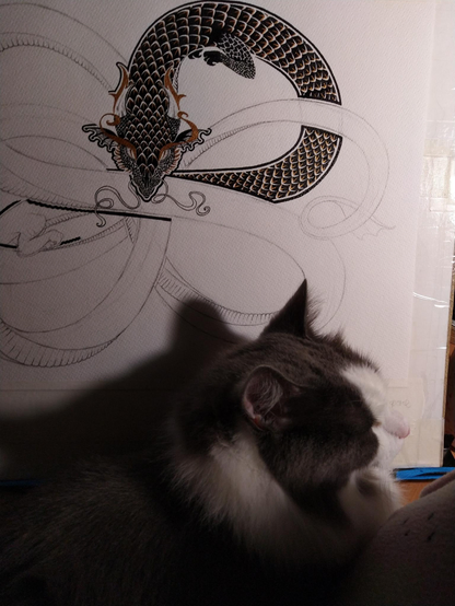 A cat casually lying in front of the drawing