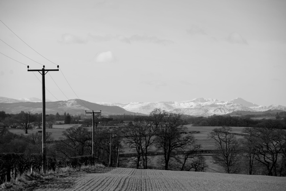 A black and white photograph of fields, and trees with mountains in the distance. On the left hand side of the image, we have a line of telephone poles retreating into the distance. 