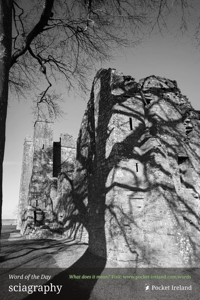 A vertical black and white photograph of a ruined Irish stone castle or tower house. In the foreground, the dark, intricate shadows of leafless tree branches are projected vividly onto the textured, light-grey stone surface of the ruins. The sunlight comes from the side, creating a high-contrast 'sciagraphy' effect. To the left, a tall, narrow turret stands against a clear, pale sky. The mood is atmospheric, ancient, and still, emphasising the rugged textures of the masonry.