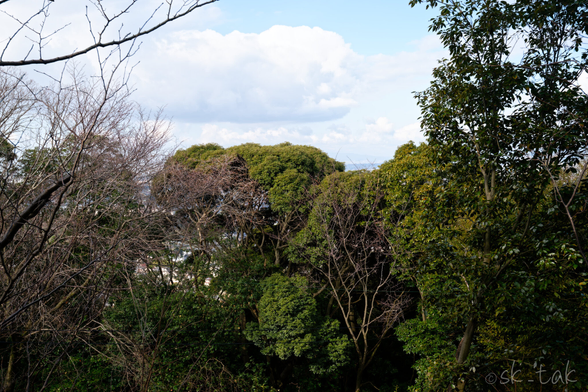 完全に樹木に遮られている、展望台からの眺望
