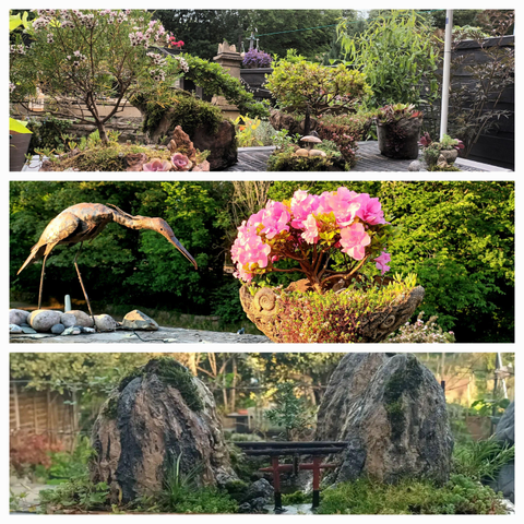 Montage of 3 photos showing hand crafted pots and bonsaid plants in a garden setting