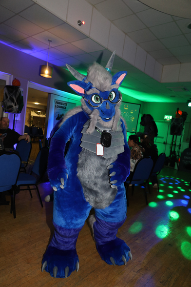 Blue dragon fursuiter Doran, dancing on a blue and green-lit dance floor at 'Furrific'. This is nearly his first time wearing his new Version 2 suit, which is now a full suit. He has thick thighs for an overall somewhat chunky and soft appearance, most of his body is royal blue, while his arms and legs are a deeper indigo. His chest and belly are grey, with his chest made up of soft, overlapping plates. His head and face feature a grey crested mane, beard, long whiskers, and fluffy eyebrows. He is also wearing a pair of round silver glasses over his green eyes. By most metrics he's probably pretty cute.
The fursuit was recently made by Selkie Suits. The photograph was taken by Azakir.