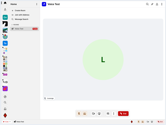 Voice/Video rooms showing in Cinny matrix client.