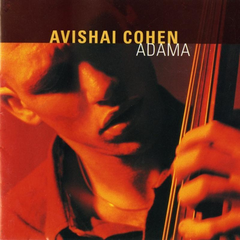 Cover: Avishai Cohen - Madrid