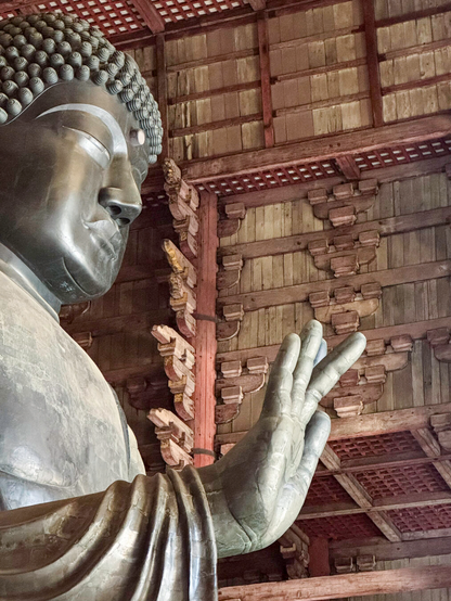 Photo of a huge Buddha statue from the side showing the Buddha's outstretched hand.