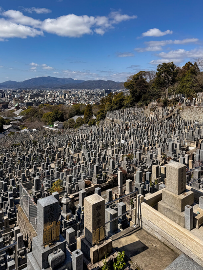 View from the top of a hillside cemetery overlooking thousands of tombs that look like miniature towers that collectively resemble a dense cityscape, with Kyoto's actual cityscape laying beyond.