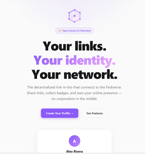 One webpage screenshot in white background and big letters saying Your links, Your Identity our Network