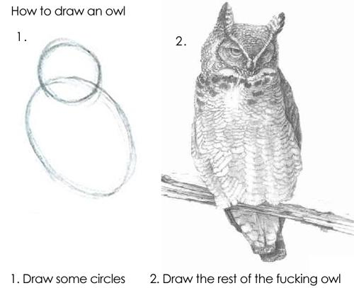 The "draw the rest of the fucking owl meme". Top text: "How to draw an owl". Image 1: two hand-drawn circly shapes, labeled "draw some circles". Image 2: a highly detailed drawing of an owl, labeled "draw the rest of the fucking owl".