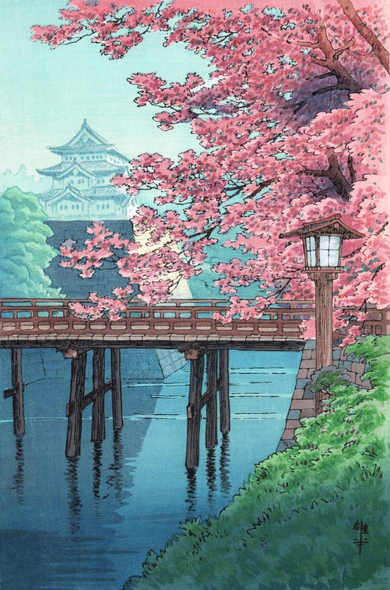 A view looking along a calm river, past a wooden bridge, and toward a Japanese-style castle standing on steep, angular stone foundations. On our right, a cherry tree overlooks the water, its branches packed with pink blossoms; above, the sky is clear and bright.