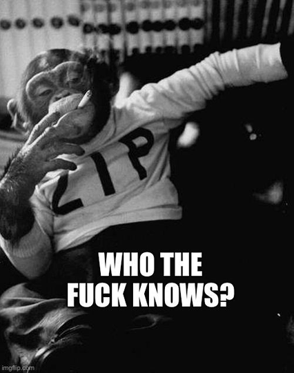 badass monkey smoking, and text: who the fucks knows?