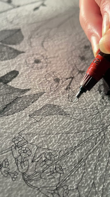 A clip of ink lines being drawn on a cowslip leaf illustration, the paper has a rough texture and there are flashes of light on the paper from a metallic part on the pen.