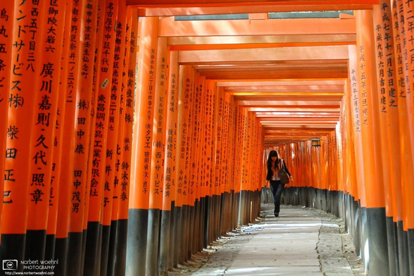 The famous orange torii gates at Fushimi Inari Taisha in Kyoto, Japan.