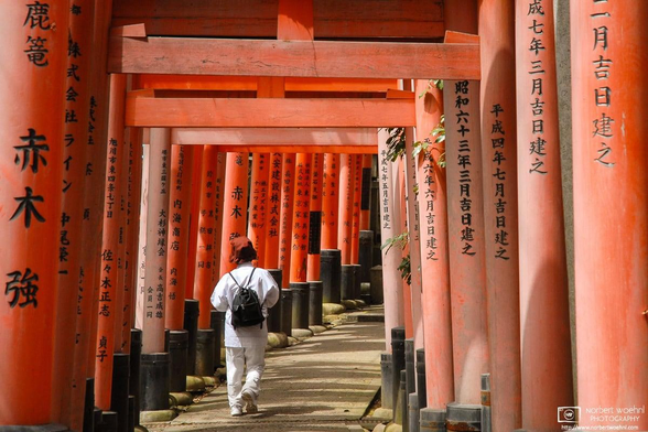 Inari was originally the kami of rice and agriculture, but merchants also worship Inari as the patron of business. Each of Fushimi Inari Taisha's roughly 10,000 torii were donated by a Japanese business.