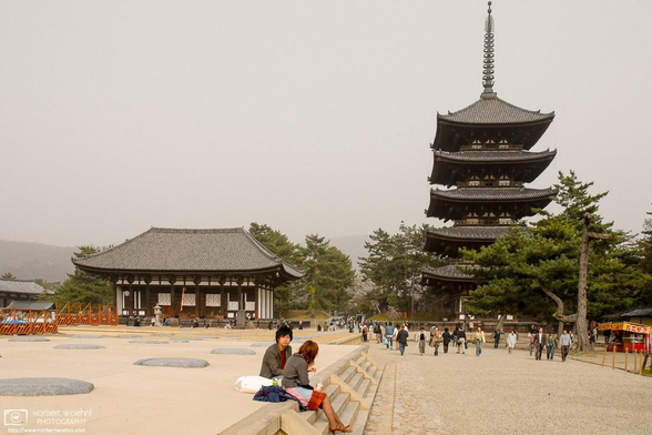 Five-story pagoda at Kofukuji Temple in Nara, Japan.