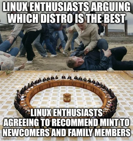 Linux people will argue for weeks over which distro is the best but all agree that Mint is best for newcomers and family.