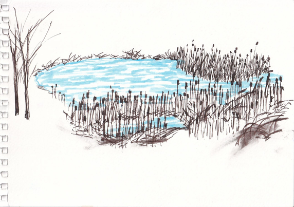 Two color ink artwork of a winter pond, with brown reedy cattails and an icy blue lake texture. More minimal piece with some smudged reeds in the foreground, echoing the cold of winter. Two winter deciduous trees frame the pond on the left. It's torn from a sketchbook and the paper bindings are beside the trees. 